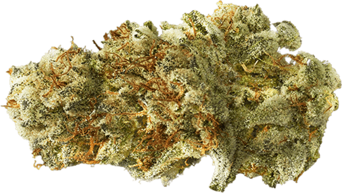 Milk & Cookies image 1